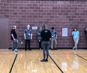 An Alternative Use of Basketballs and Volleyballs for Exercise