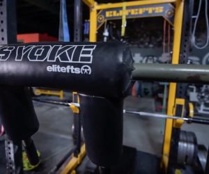 SS Yoke Bar Squats 