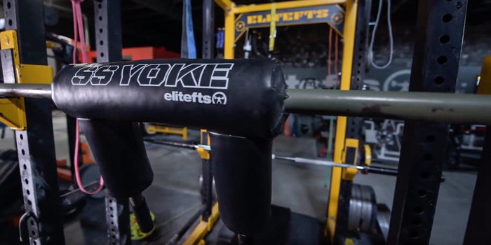 WATCH: Dave Tate's Top 5 SS Yoke Bar Movements