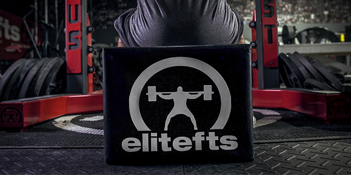 Week 8 / Day 1 - Squat Training