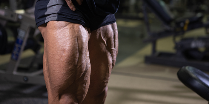 Grow BIG Quads Without Lower Back Pain