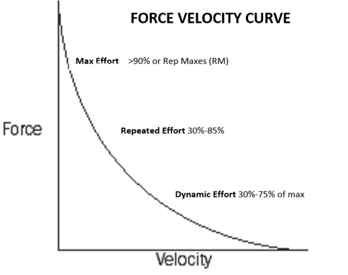 nate harvey force-velocity curve