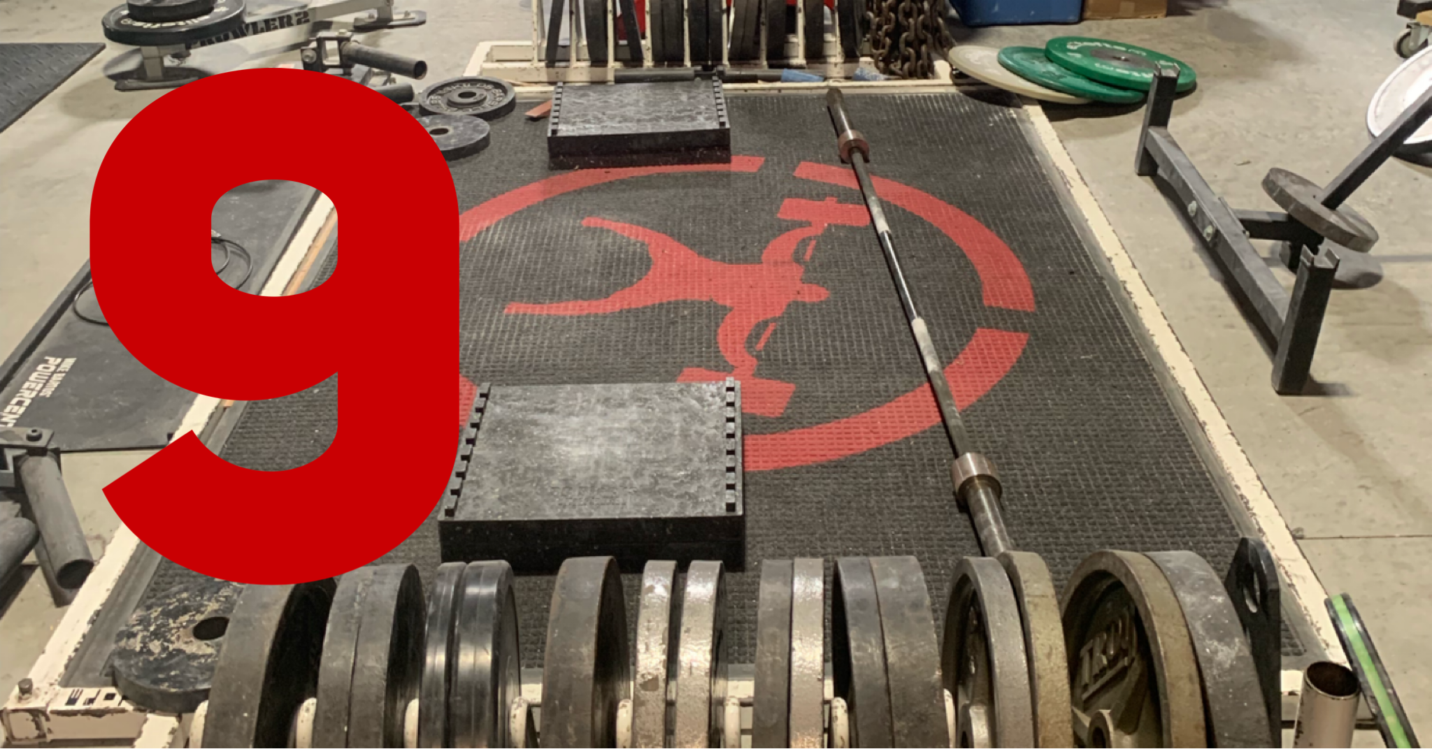 How Can I Train At elitefts? Part 8