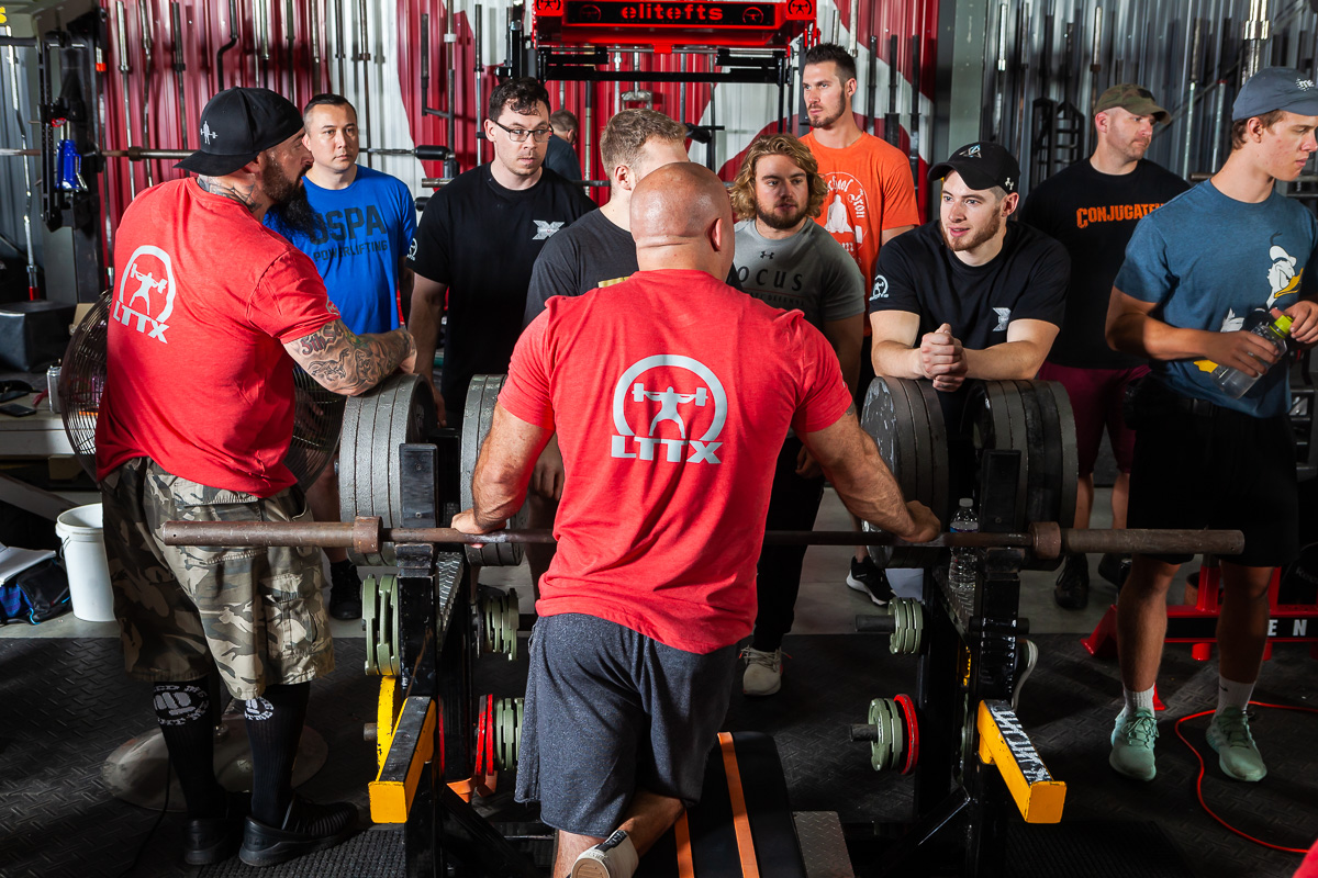 Benching at Elitefts 