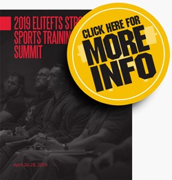 stronger-sports-training-success-summit-250