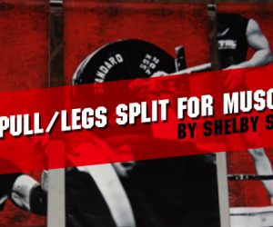 Push/Pull/Legs Split for Muscle Size