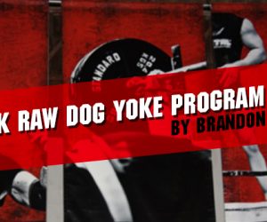 20-Week Raw Dog Yoke Program Cycle