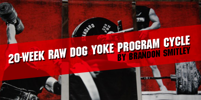 20-Week Raw Dog Yoke Program Cycle