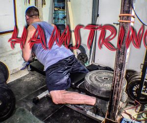 Bench Hamstring Curls