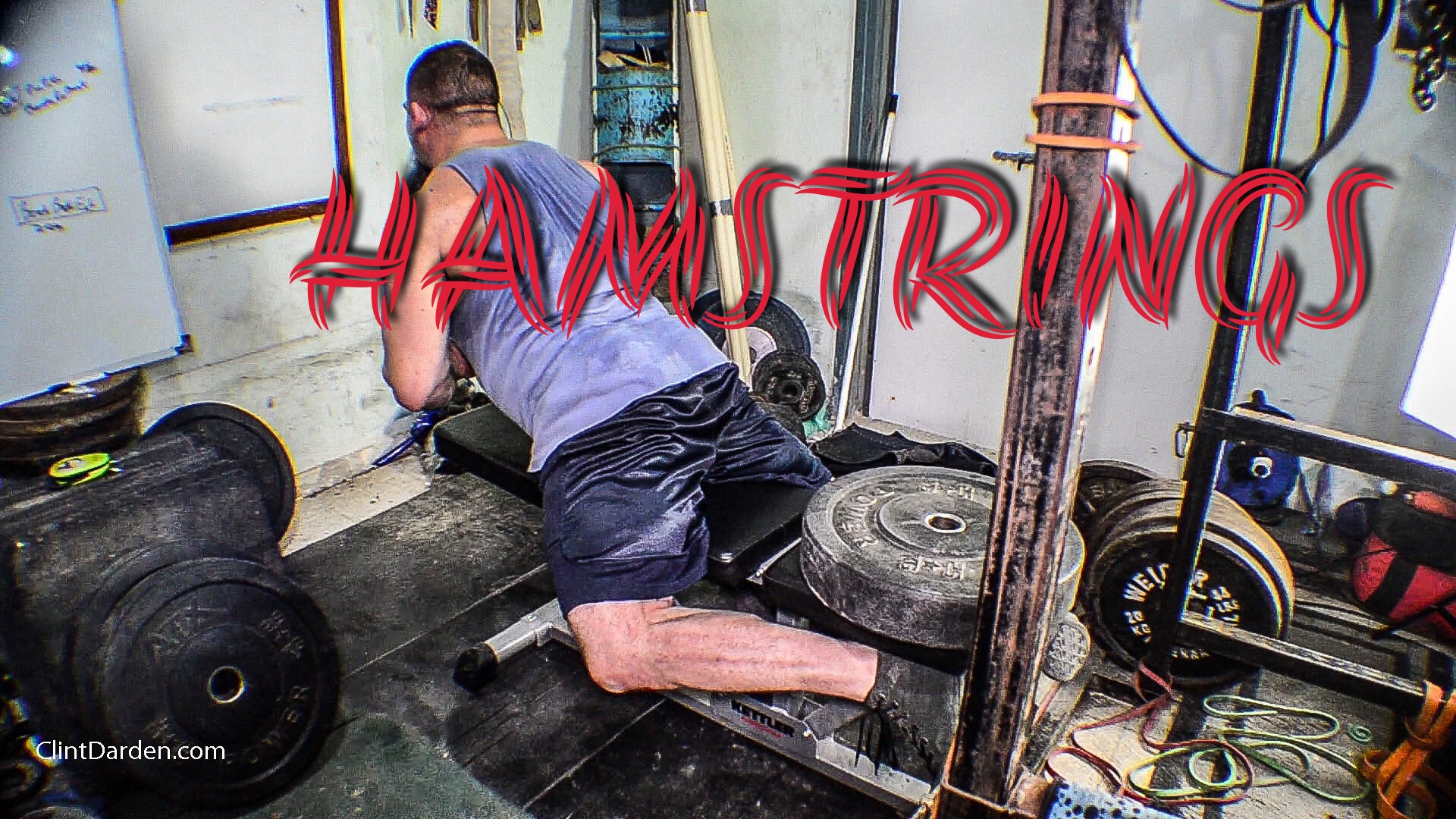 Bench Hamstring Curls