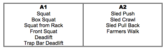 aj lower body session a1 a2