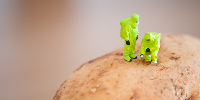 Career- and Body-Killing Food Allergies From Eating the Same Foods Too Often