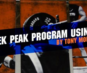 15-Week Peak Program Using RPE