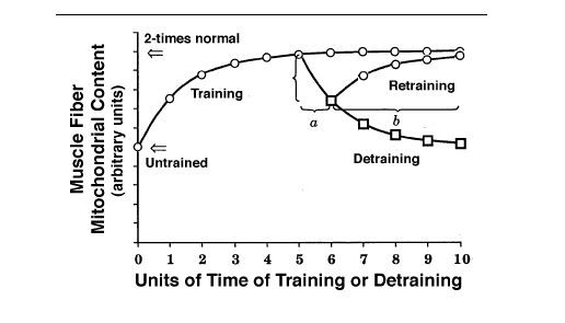 mitochondria training retraining