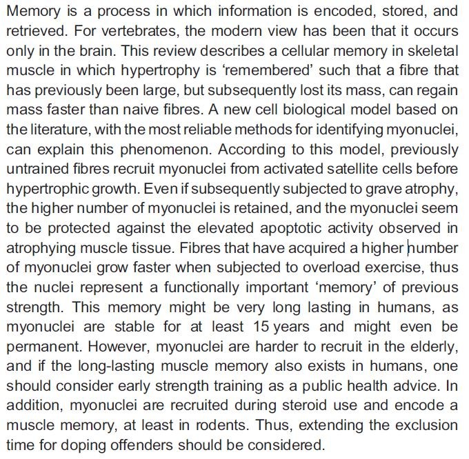 muscle memory