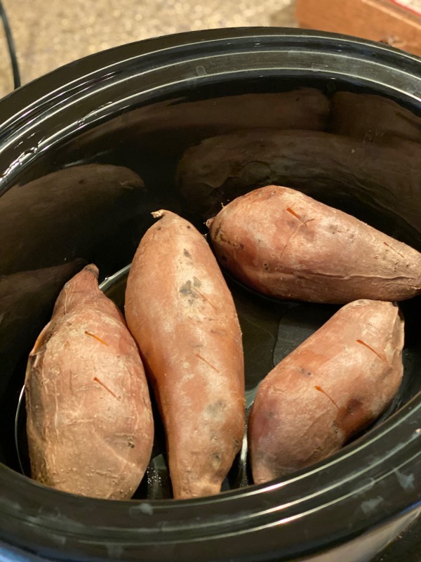 julia sweet potato 1