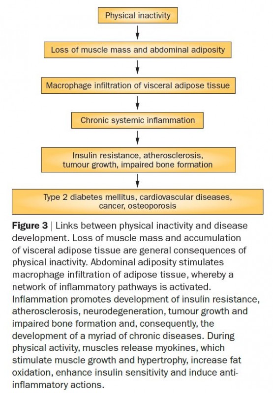 consequences of inactivity