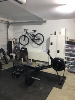 garage-gym-petrosino 