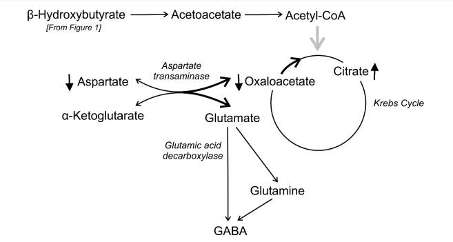 KD-and-GABA