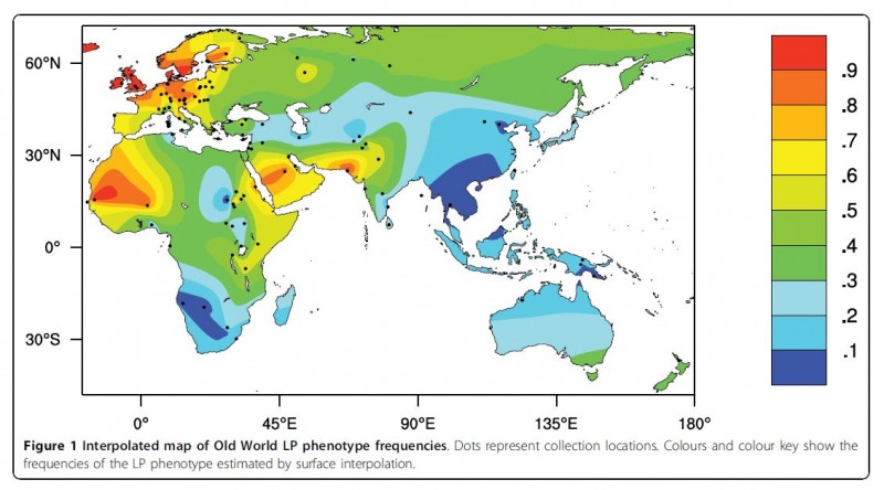 Old World LP phenotype frequencies