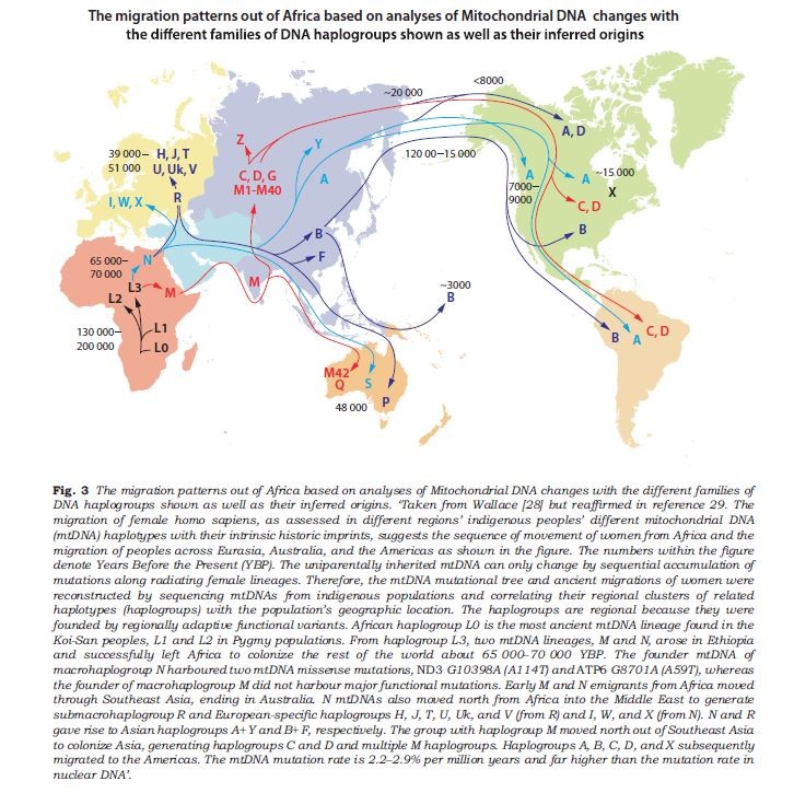 human-migration-patterns