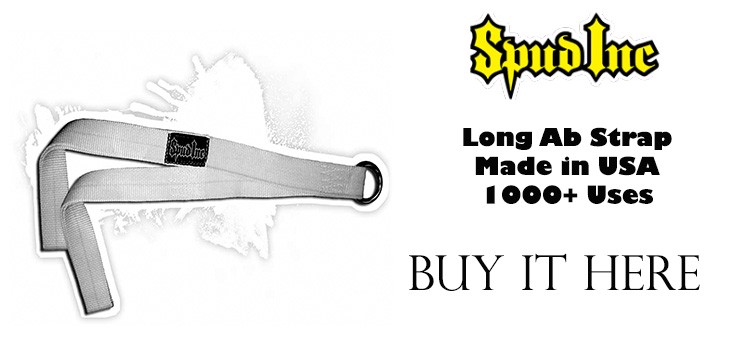 long ab strap