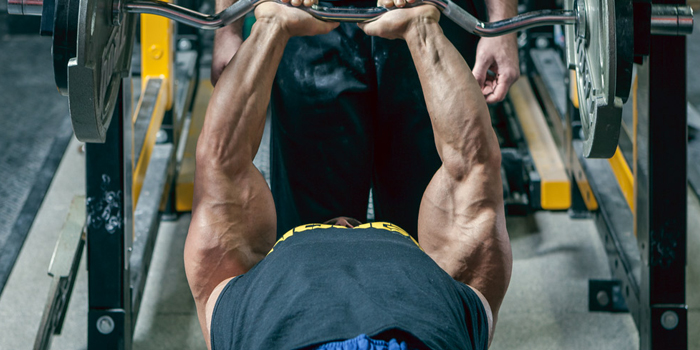 Massive Triceps For Your Bench Press