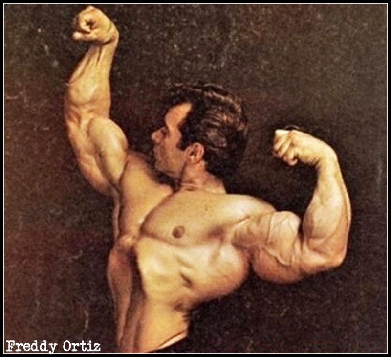 photo # 9 via greatest physiques . com