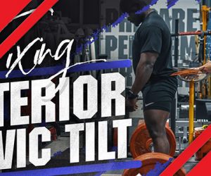 How to Correct Anterior Pelvic Tilt in the Deadlift