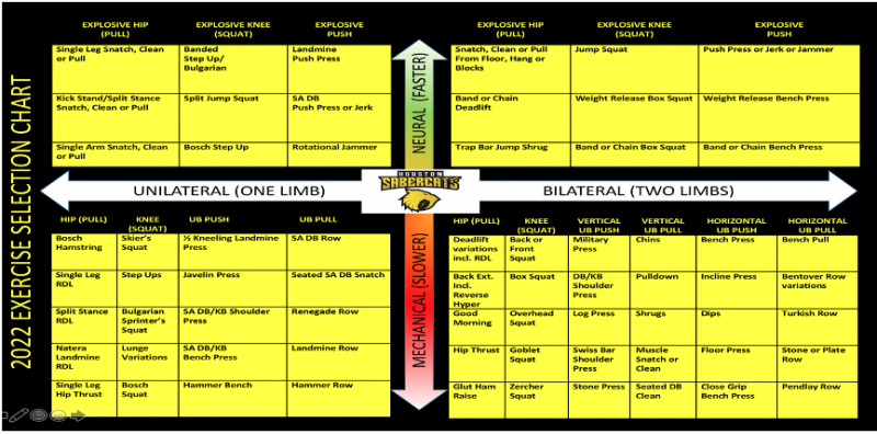 exercise-selection-chart