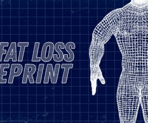 The Fat Loss Blueprint