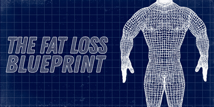 The Fat Loss Blueprint