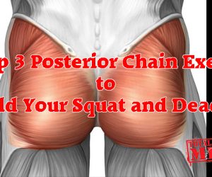 My Top 3 Posterior Chain Exercises to Build Your Squat and Deadlift