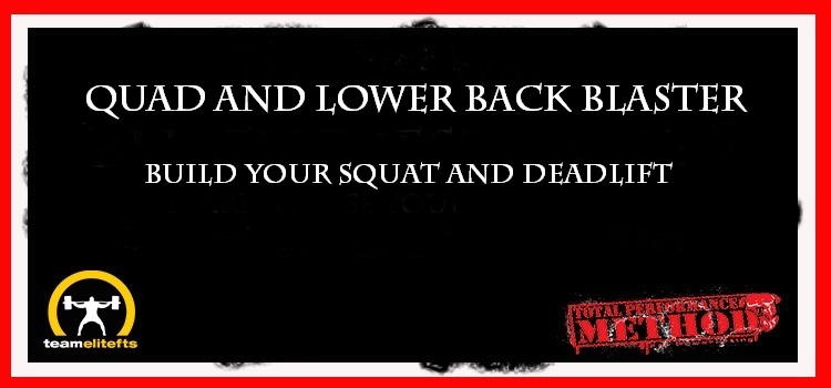 Quad and Lower Back Blaster: Video