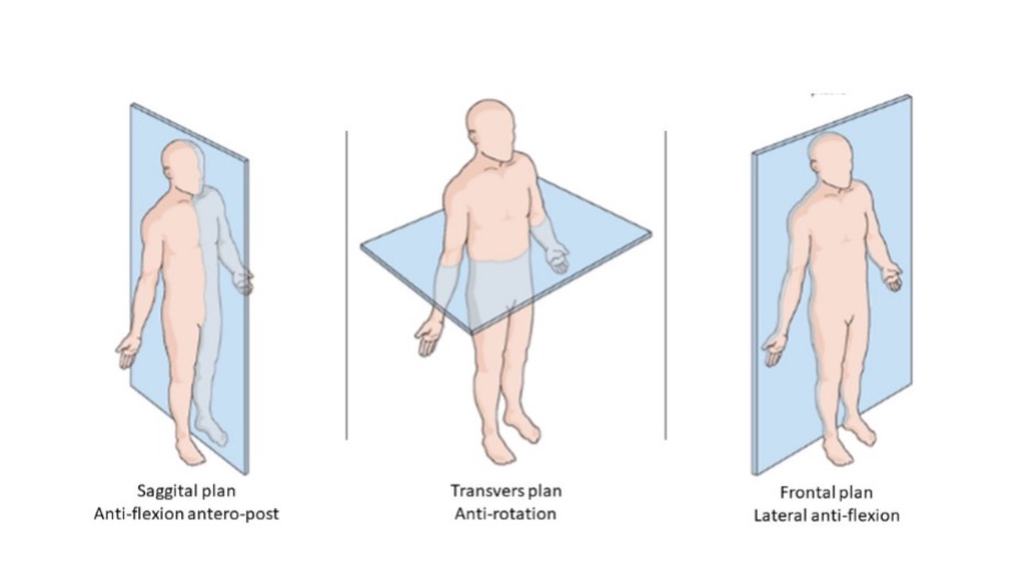 ant-flexion-rotation-lateral