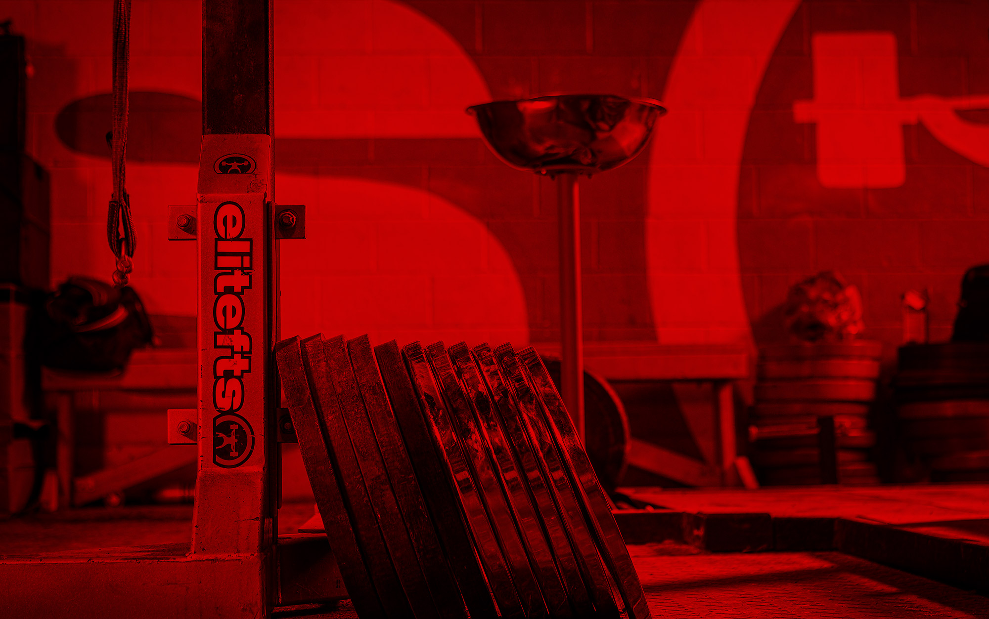 elitefts content page. Articles, youtube, instagram, products and more