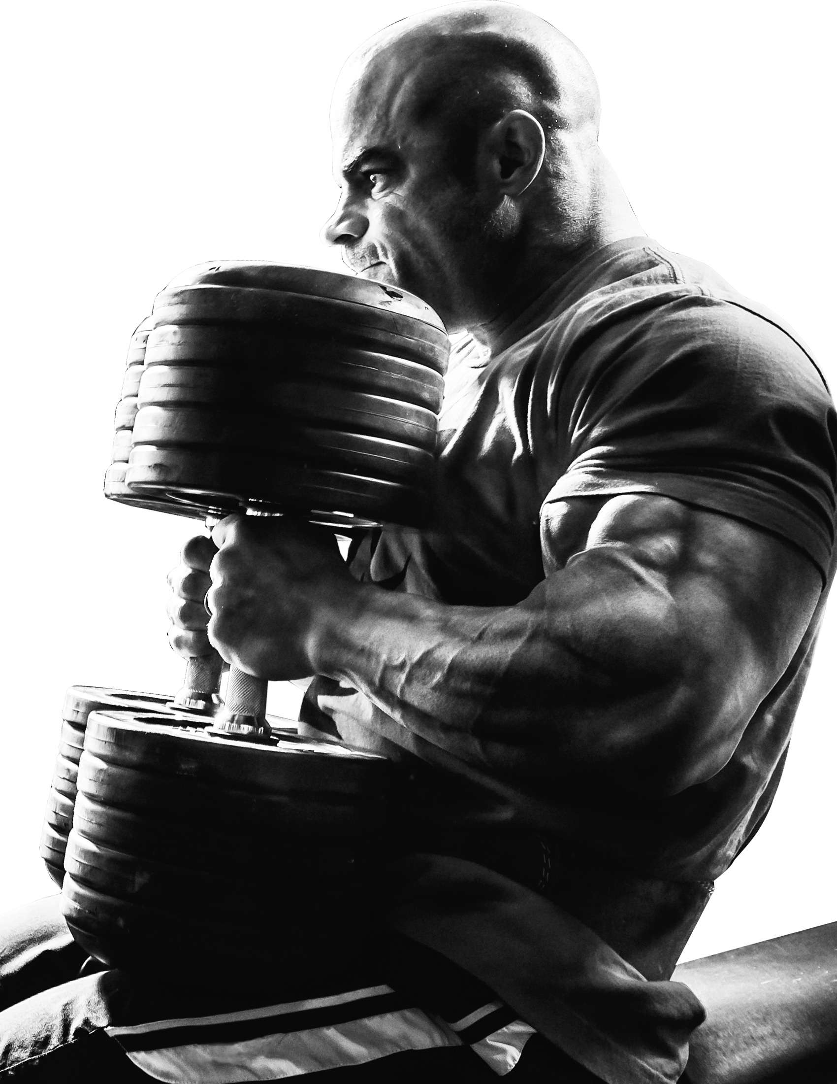 bodybuilding articles