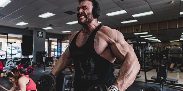 The Optimal Bodybuilding Split