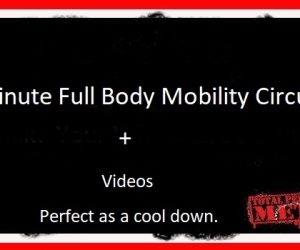 6 Minute Full Body Mobility Circuit + Videos