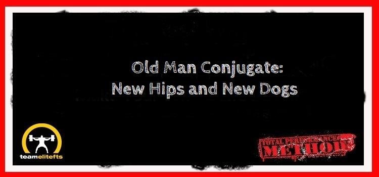Old Man Conjugate, New Hips, New Dogs, Brandy, Aoibheann, C.J. Murphy, elitefts.com, hip replacement