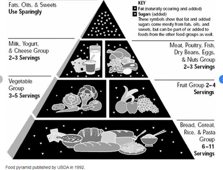 The Obesity Epidemic in America