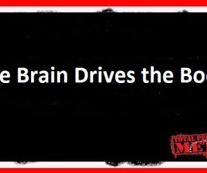 The Brain Drives the Body