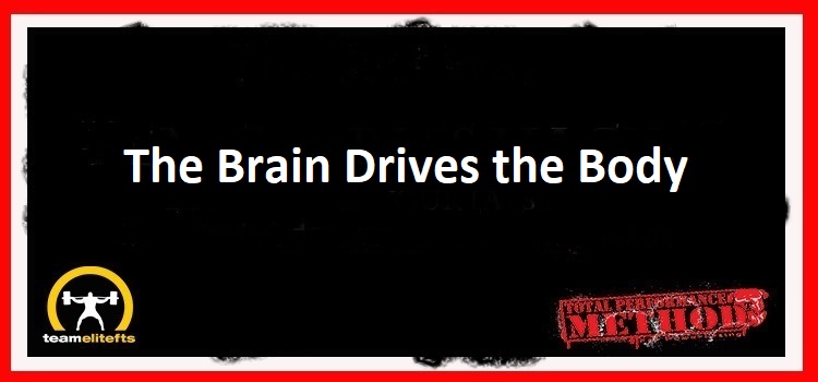 The Brain Drives the Body