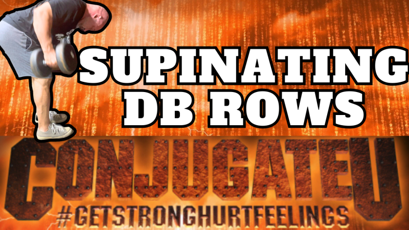 SUPINATING DUMBBELL ROWS
