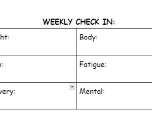 My Recovery Check-In